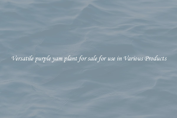 Versatile purple yam plant for sale for use in Various Products