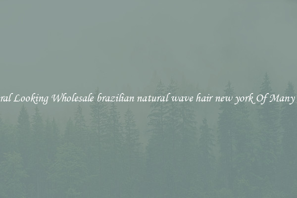 Natural Looking Wholesale brazilian natural wave hair new york Of Many Types