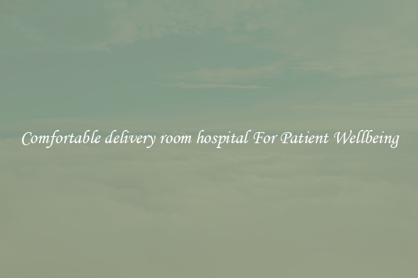 Comfortable delivery room hospital For Patient Wellbeing