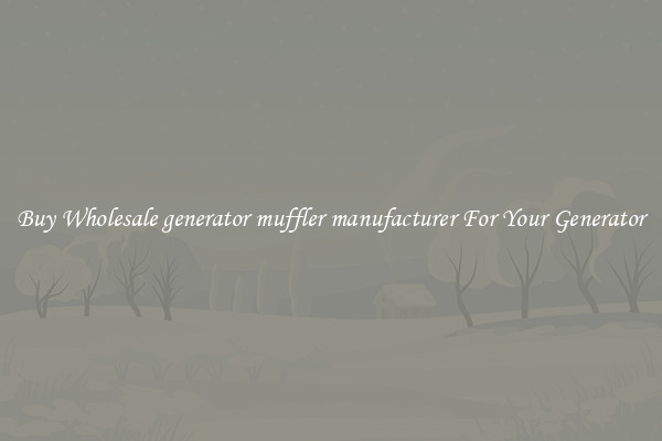 Buy Wholesale generator muffler manufacturer For Your Generator