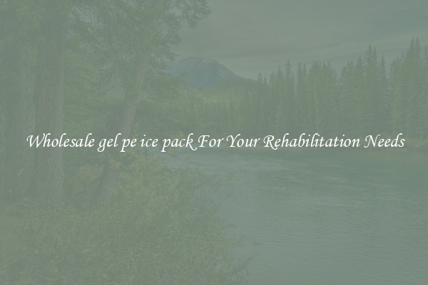 Wholesale gel pe ice pack For Your Rehabilitation Needs