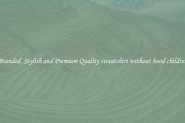 Branded, Stylish and Premium Quality sweatshirt without hood children