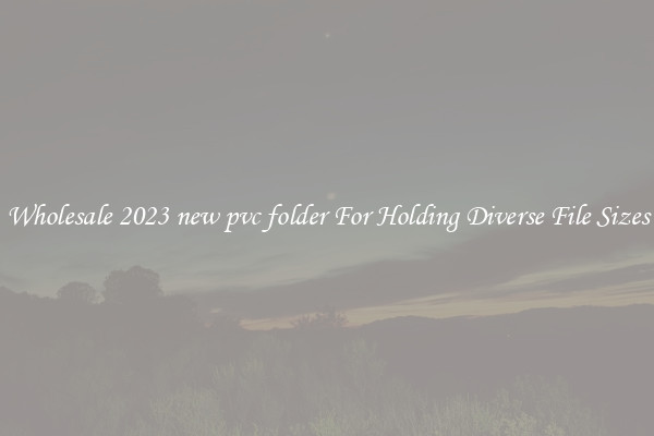 Wholesale 2023 new pvc folder For Holding Diverse File Sizes