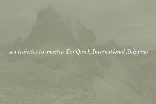 sea logistics to america For Quick International Shipping