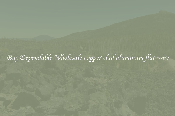 Buy Dependable Wholesale copper clad aluminum flat wire