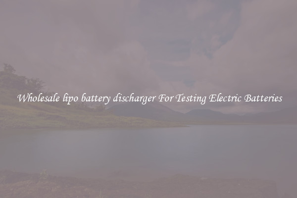 Wholesale lipo battery discharger For Testing Electric Batteries