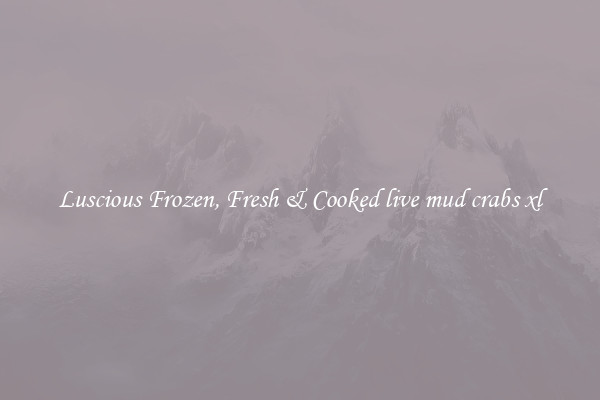 Luscious Frozen, Fresh & Cooked live mud crabs xl