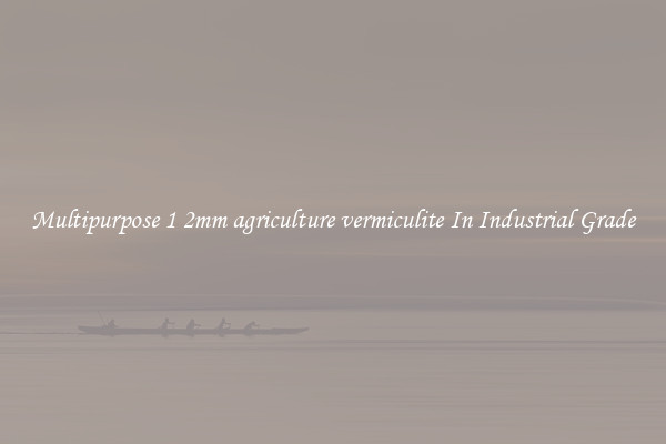 Multipurpose 1 2mm agriculture vermiculite In Industrial Grade