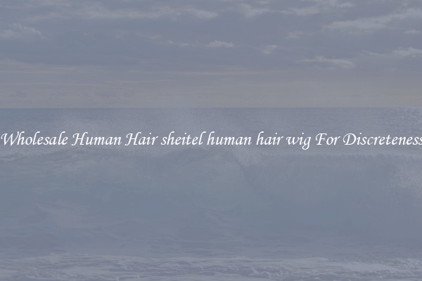 Wholesale Human Hair sheitel human hair wig For Discreteness