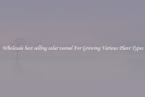 Wholesale best selling solar tunnel For Growing Various Plant Types