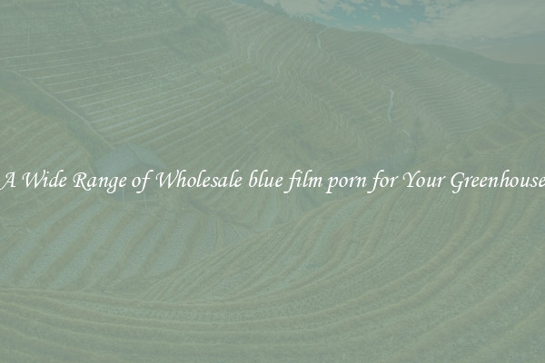 A Wide Range of Wholesale blue film porn for Your Greenhouse
