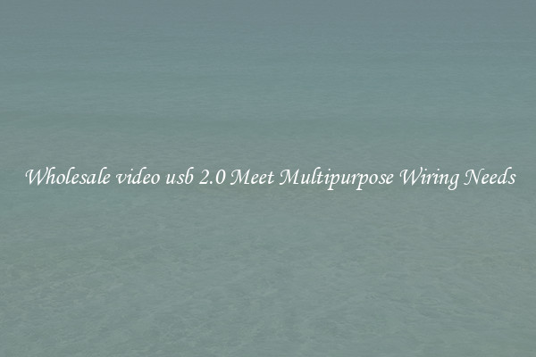 Wholesale video usb 2.0 Meet Multipurpose Wiring Needs