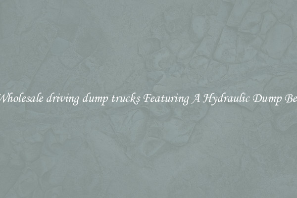 Wholesale driving dump trucks Featuring A Hydraulic Dump Bed