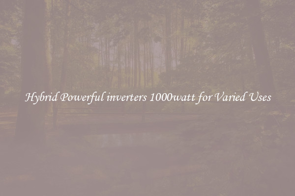Hybrid Powerful inverters 1000watt for Varied Uses
