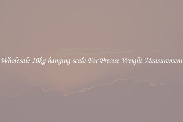 Wholesale 10kg hanging scale For Precise Weight Measurement